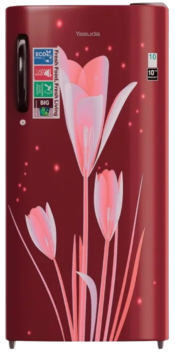 180Ltr Single Door Refrigerator(Marine, Red Lily)