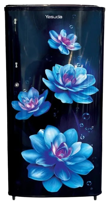 200 Ltr Single Door Refrigerator (Blue, Red Floral)